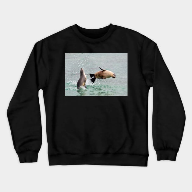 Playful Sea Lions, Baird Bay SA Crewneck Sweatshirt by AndrewGoodall